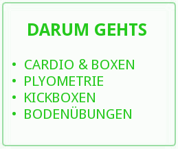 darumgehts darumgehts